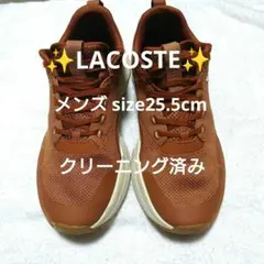 クリーニング済み！✨LACOSTE✨ ブラウン スニーカー 25.5cm