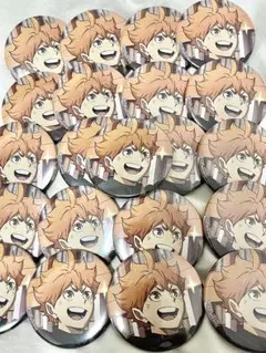 ハイキュー 日向翔陽 缶バッジ 21点