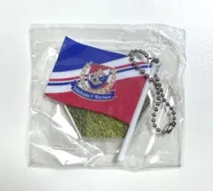 Jリーグクラブ フラッグキーチェーンコレクション 横浜F・マリノス ガチャガチャ