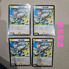 ワンオンフェアリー4枚