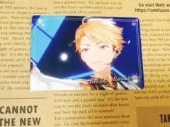 鳴上嵐 チップス