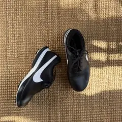 Item thumbnail for item c358b5a4-0517-4a27-b410-b25a3b6425a1