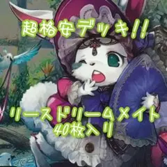 2025年最新】リースドリームメイトの人気アイテム - メルカリ