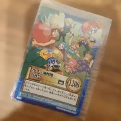 旧ワンピースカード　稀少ルフィ海賊団