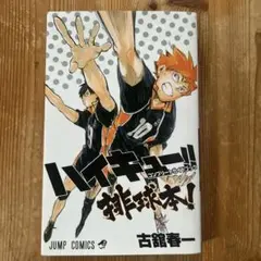 ハイキュー!! コンプリートガイドブック 排球本!