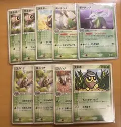 ポケモンカード タネボー コノハナ ダーテング ダーテングexのサムネイル
