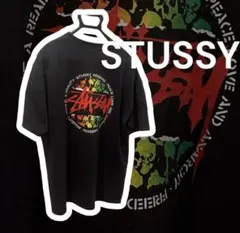 STUSSY ステューシー ドクロ スカル Tシャツ y2k