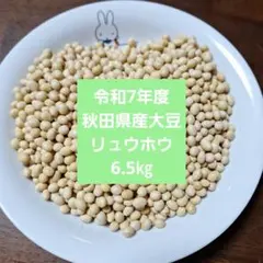 農家直送【新豆】令和7年産 北海道壮瞥町産大豆5㎏ - メルカリ