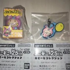 【匿名配送】ミニモニ25th　パッケージミニチュアチャーム　めじるしアクセサリー