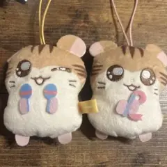 カプっこフレンズ トラハムくん トラハムちゃん