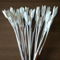 miyuu♡♡様 リクエスト 2点 まとめ商品