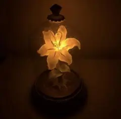 2026年最新】ラプンツェル LEDライト ディズニーストアの人気アイテム