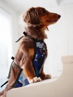 pichlesさま専用ページ