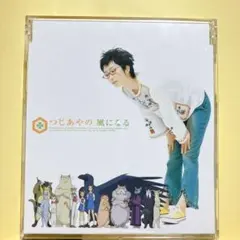 2026年最新】風になる／つじあやのの人気アイテム - メルカリ