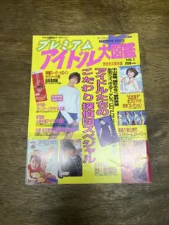 プレミアムアイドル大図鑑 VOL.2