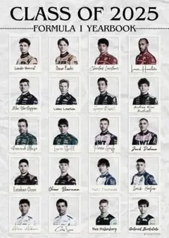 2025年　F1 レーシングドライバー メタルポスター　インテリア雑貨