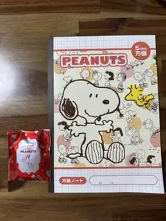 PEANUTS スヌーピー ノート 5mm罫線、缶バッジ