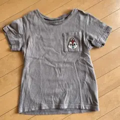 チップ&デール　チップTシャツ　130