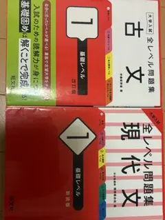 大学入試　全レベル問題集　現代文　古文