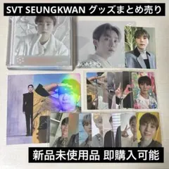 SVT SEUNGKWAN まとめ売り