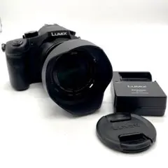 2026年最新】DMC-FZ10の人気アイテム - メルカリ