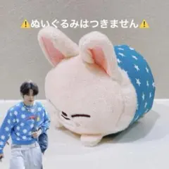 スキズー　skzoo ぬいぐるみ　ぬい服　フォクシニー　アイエン　イエニ