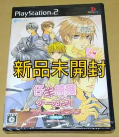 【新品未開封】仔羊捕獲ケーカク ! スイートボーイズライフ 初回限定版 PS2
