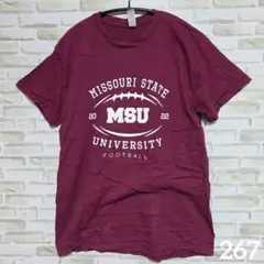 ギルダン バックプリント Ｔシャツ クルーネック 半袖 M カジュアル 海外古着