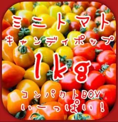 【✨️まるで宝石箱✨️】ミニトマト1kg 美味しい野菜⑫のサムネイル