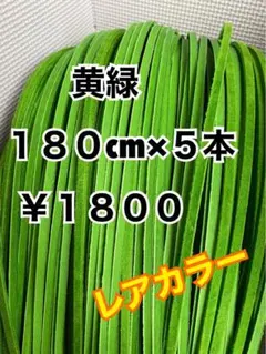 グラブレース　黄緑　180cm×５本