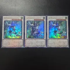 四天の龍クリアウィングシンクロドラゴン シク アジア版 - メルカリ