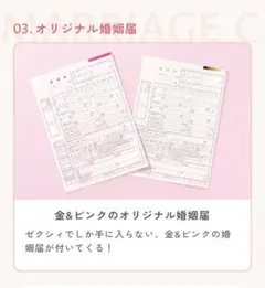 ゼクシィ　オリジナル婚姻届2枚