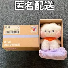 BT21 minini MINI PLUSH RJ
