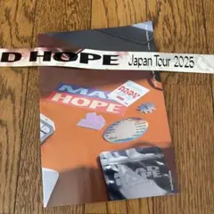 星野源 MAD HOPE ライブ 銀テープ パンフレット