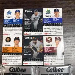 プロ野球チップス　6枚　未開封2袋