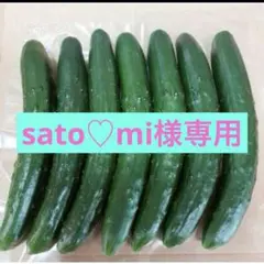 sato♡mi様専用