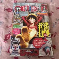 ワンピースマガジン 雑誌
