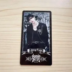 Stray Kids dominATE スペシャル トレカ バンチャン