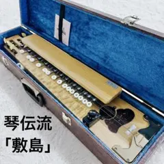 YAMAHA Violyre ヴィオリラ 本体 ケース付 楽譜2冊セット YAMAHA Violyre ヴィオリラ 本体 ケース付 楽譜2冊セット - メルカリ