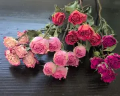 Ducky✿│˶˙ᵕ˙˶)꜆様専用♪