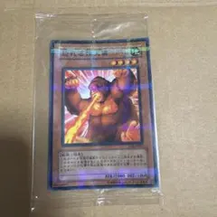 2026年最新】pc パラ 遊戯王の人気アイテム - メルカリ