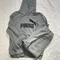 週末価格　PUMA グレー スウェット生地上下セット M レディース