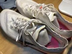 Item thumbnail for item b1b96527-7d01-4bc1-b69c-8a4ef3f56615