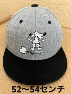チャンピオンスナップバックキャップ