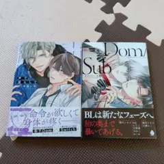 domsub blマンガ BLコミック bl BL漫画 商業bl blコミック