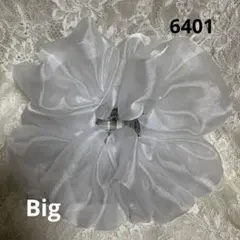 Item thumbnail for item 8b78cb95-14e4-44fe-9654-d490bd58fa50