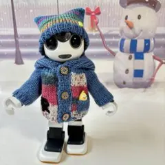 ロボホン　アウトフィット　多色段染め毛糸パーカーと帽子のセット　ポケット付き