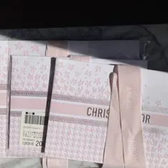 CHRISTIAN DIOR 25 VDAY Clutch ショッパー セット