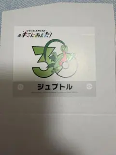 30周年ロゴ ステッカー キミにあえた！ リーフィア - メルカリ