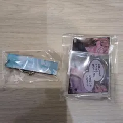 【漫福ガチャ】 野良猫と狼 リバーシブルアクキー アクリルスタンド ②